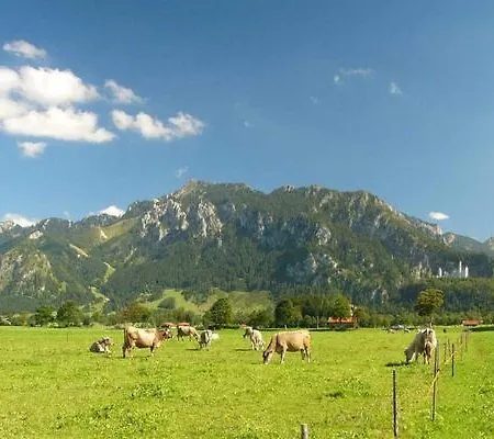 Jaegerhof Und Jaegerstadel Guest house *