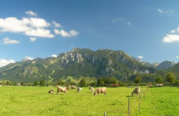 Jaegerhof Und Jaegerstadel Affittacamere 3*