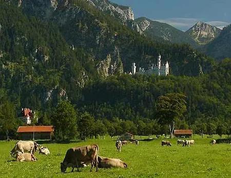 Πανσιόν Jaegerhof Und Jaegerstadel Σβάνγκαου